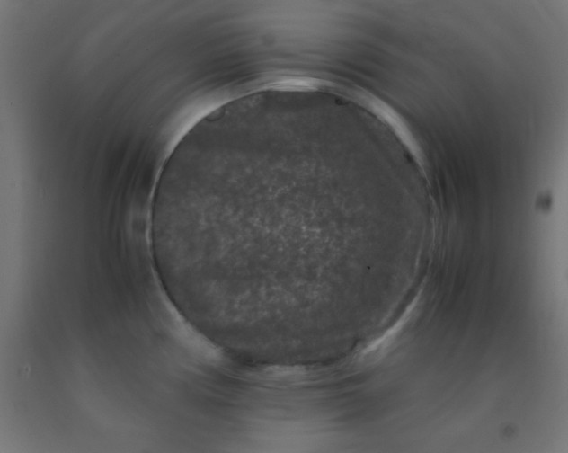 X0000092291194200709281259