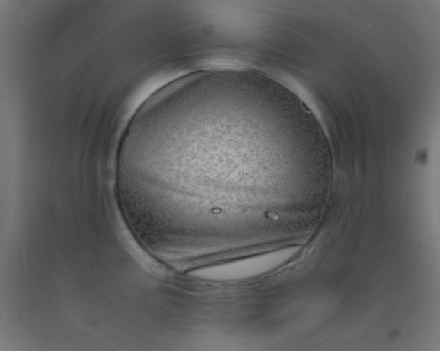 X0000092291195200709281259