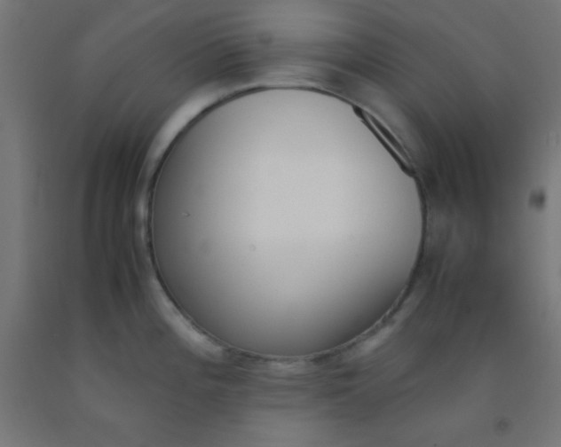 X0000092291196200709281259