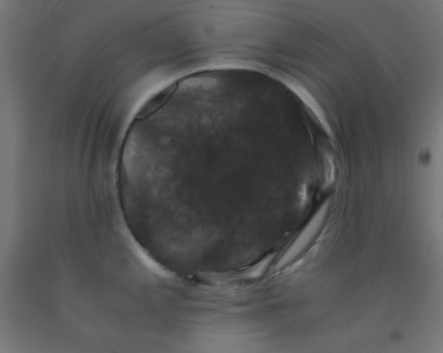 X0000092291197200709281259