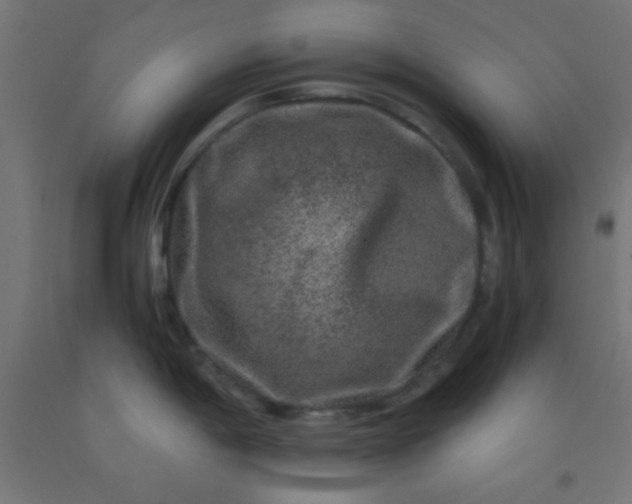 X0000092291198200709281259