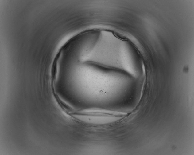 X0000092291199200709281259