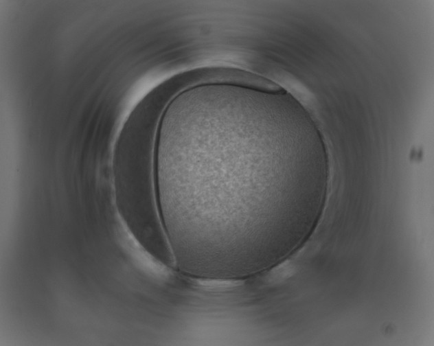 X0000092291200200709281259