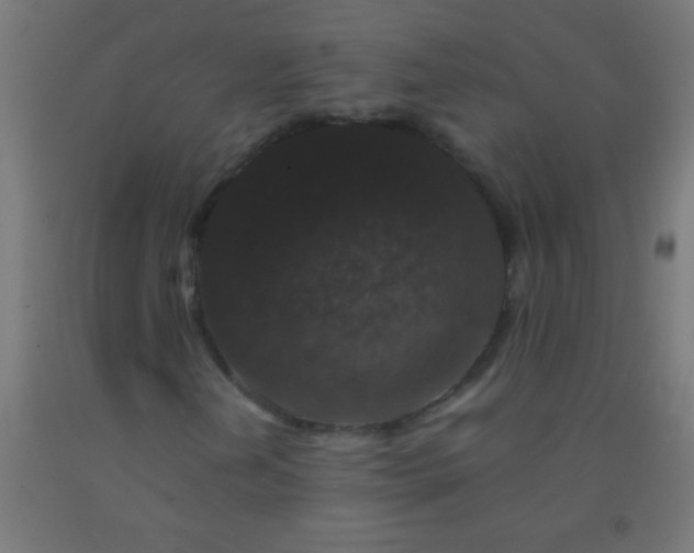 X0000092291202200709281259