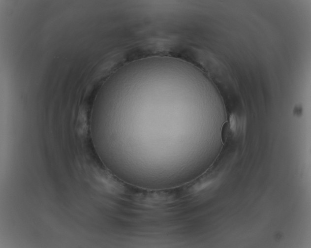 X0000092291203200709281259