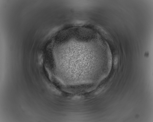 X0000092291204200709281259