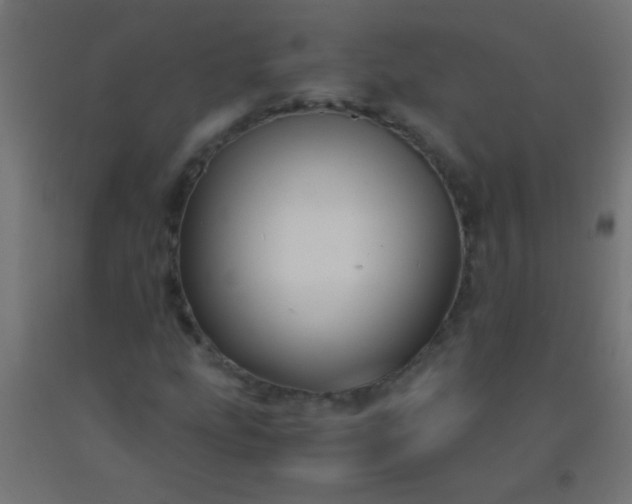 X0000092291207200709281259