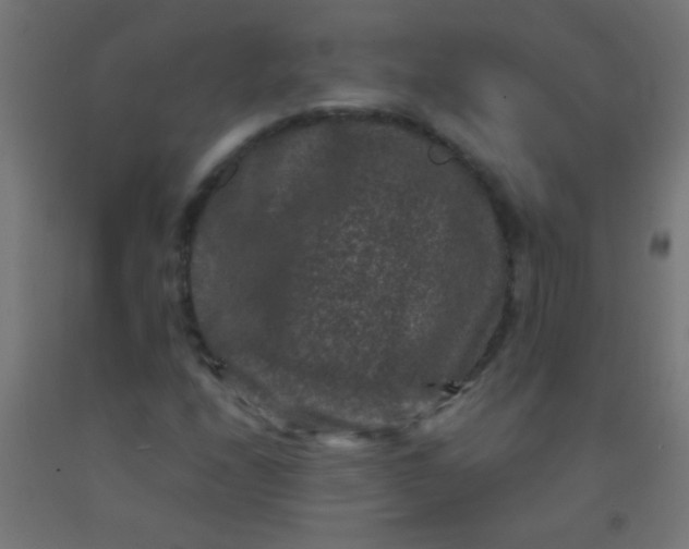 X0000092291208200709281259