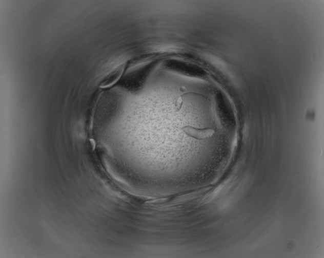 X0000092291209200709281259