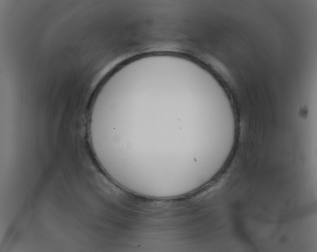 X0000092291212200709281259