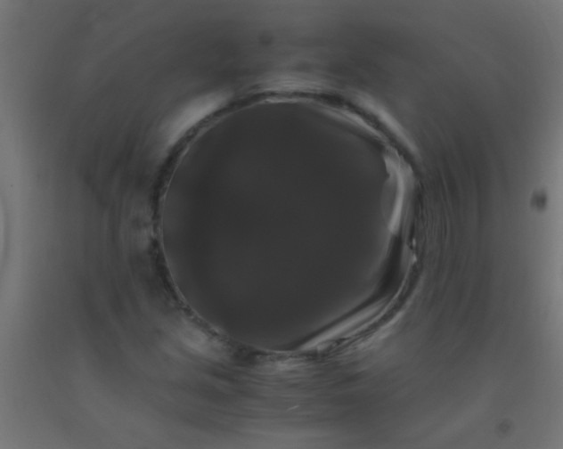 X0000092291213200709281259