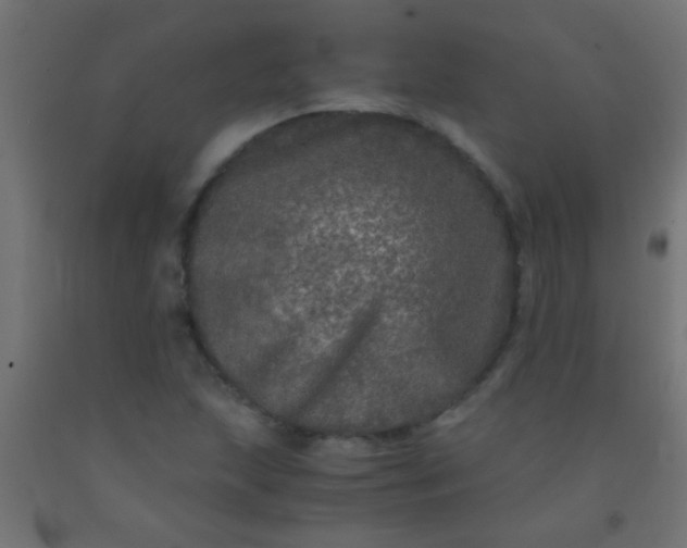 X0000092291215200709281259