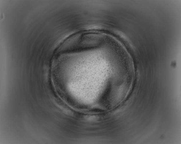 X0000092291217200709281259