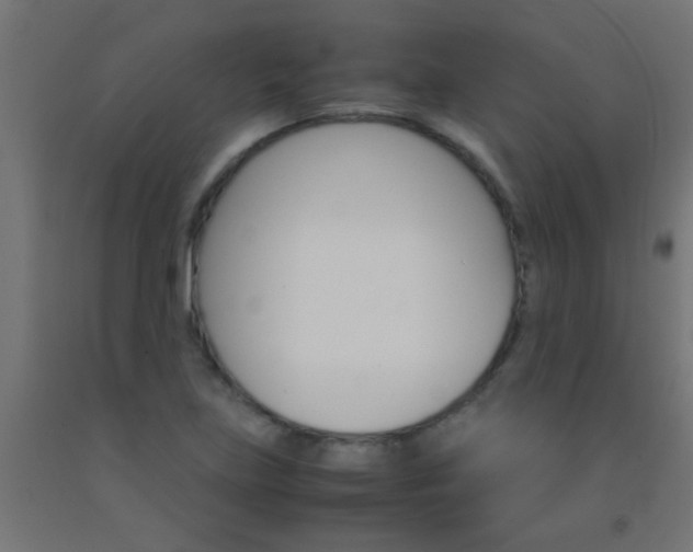 X0000092291219200709281259