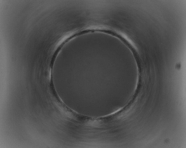 X0000092291221200709281259