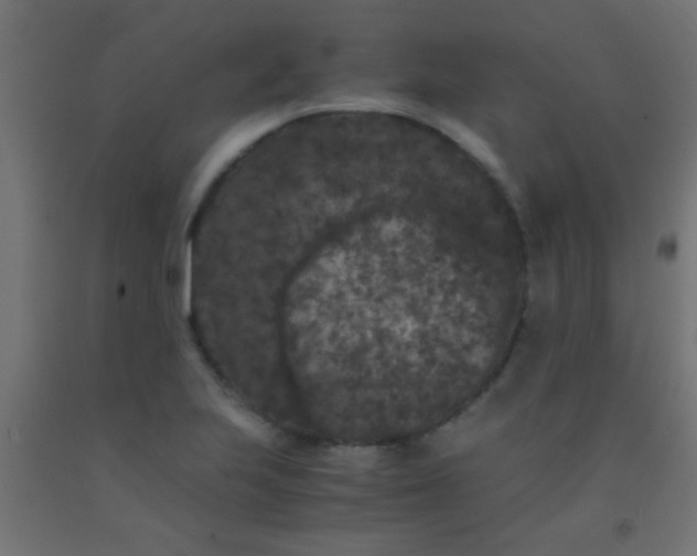 X0000092291223200709281259