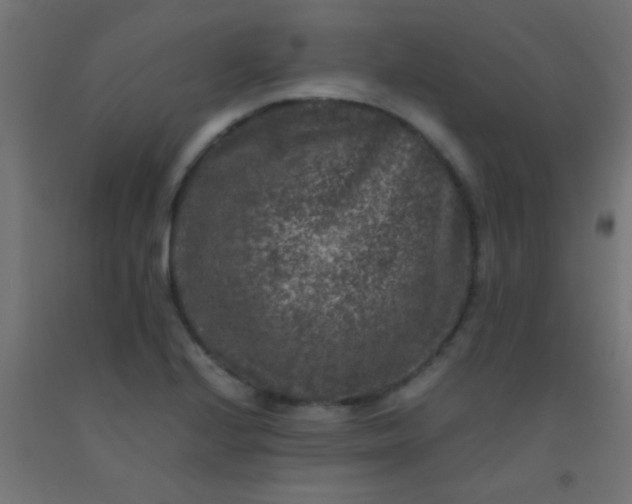 X0000092291224200709281259