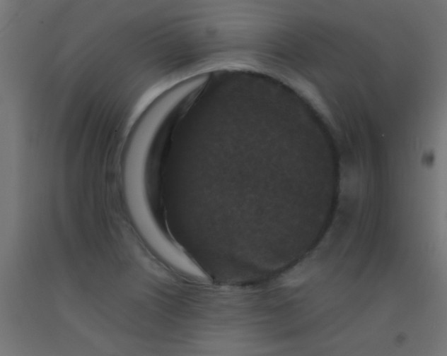 X0000092291226200709281259