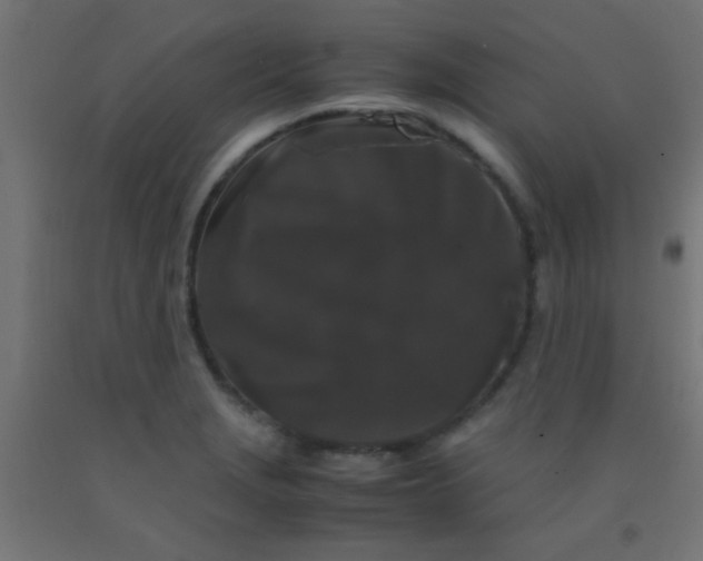 X0000092291229200709281259