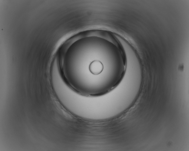 X0000092291230200709281259