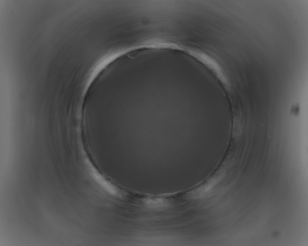 X0000092291231200709281259