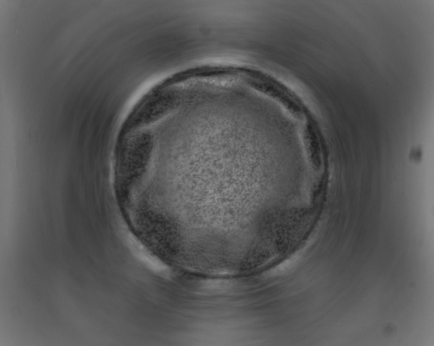 X0000092291232200709281259