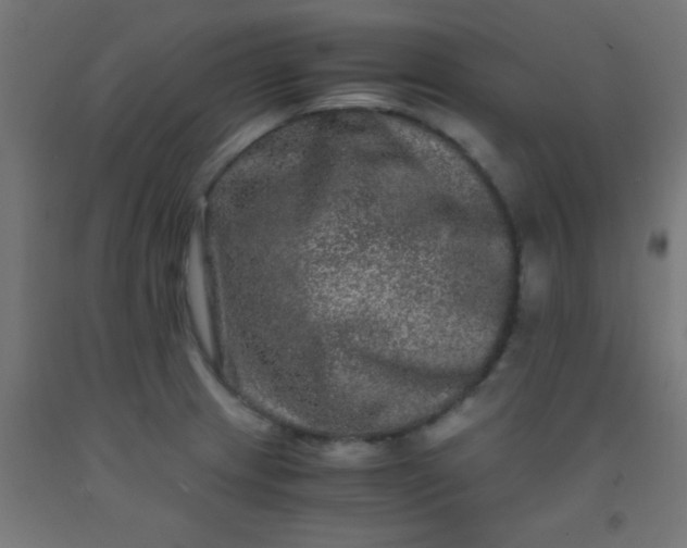 X0000092291233200709281259