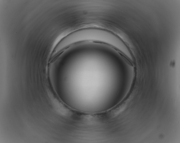 X0000092291234200709281259