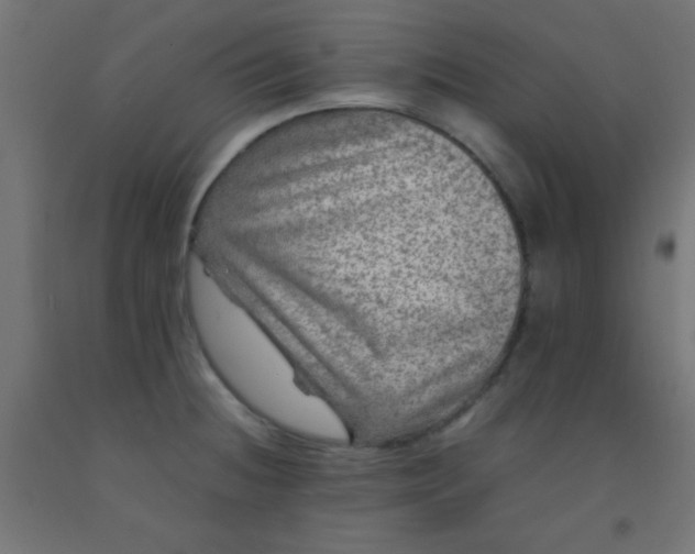 X0000092291236200709281259