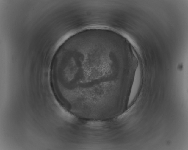 X0000092291237200709281259