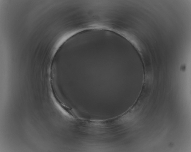 X0000092291239200709281259