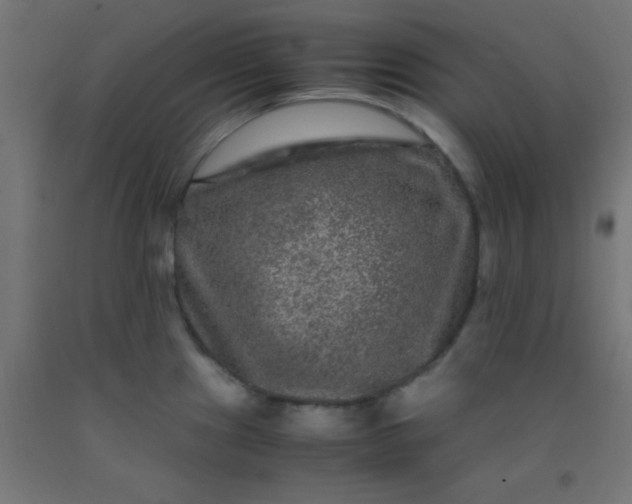 X0000092291241200709281259