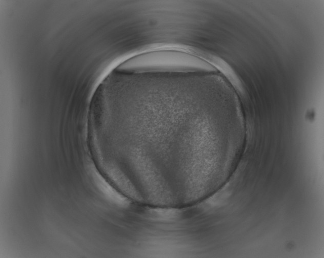 X0000092291244200709281259