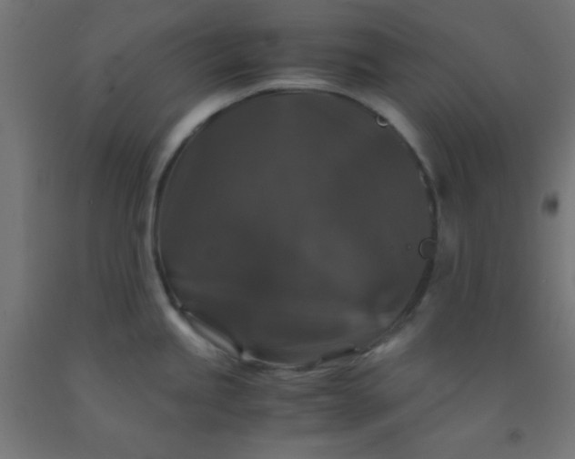 X0000092291245200709281259