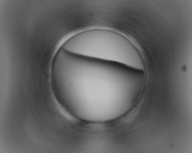 X0000092291246200709281259