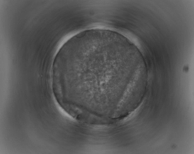 X0000092291247200709281259