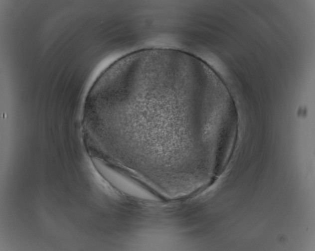 X0000092291248200709281259