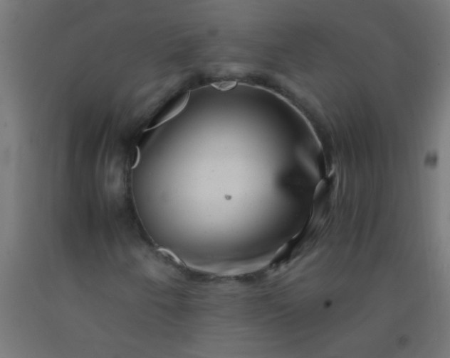 X0000092291250200709281259