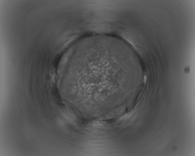 X0000092291251200709281259