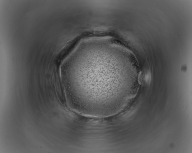 X0000092291252200709281259