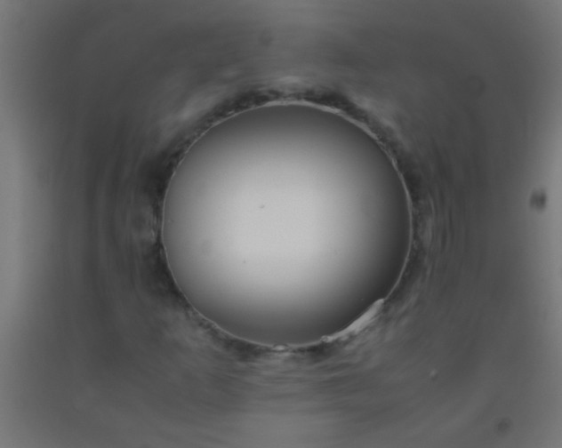 X0000092291253200709281259