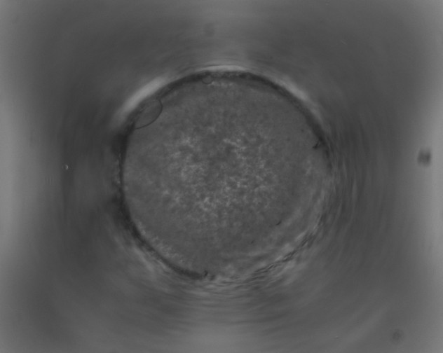 X0000092291255200709281259