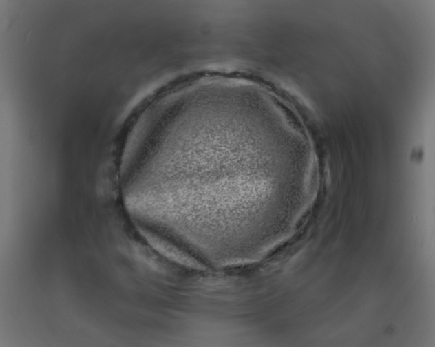 X0000092291256200709281259