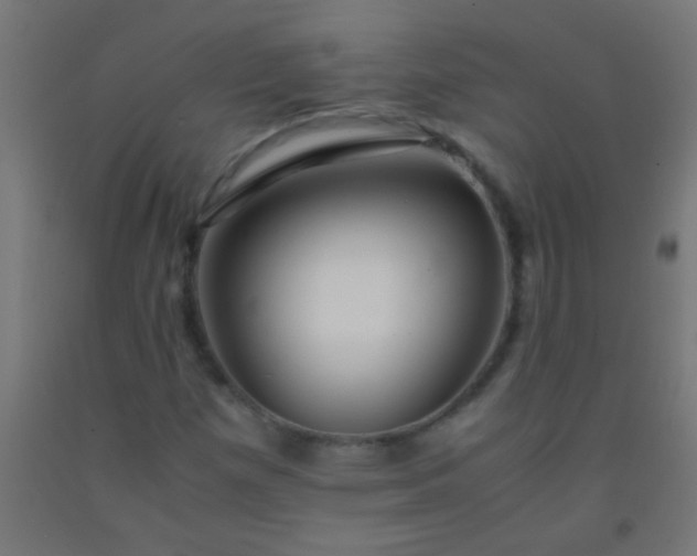 X0000092291257200709281259