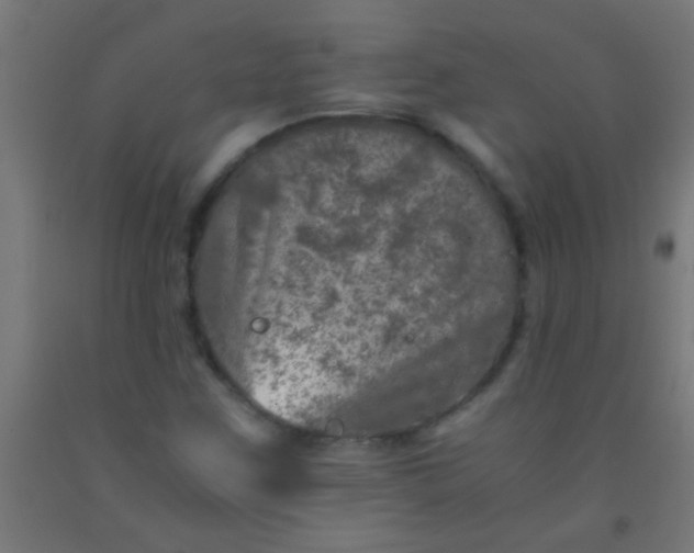 X0000092291259200709281259