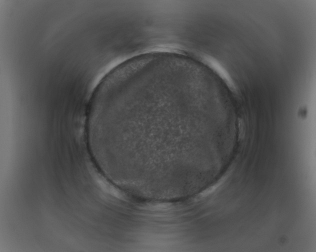 X0000092291260200709281259