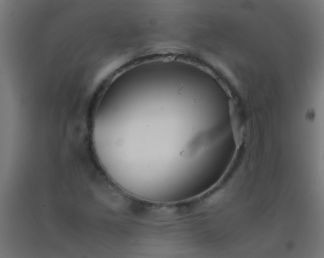 X0000092291261200709281259