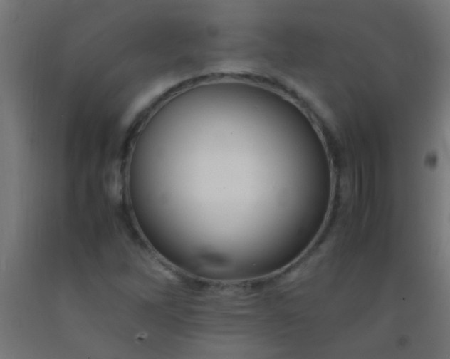 X0000092291262200709281259