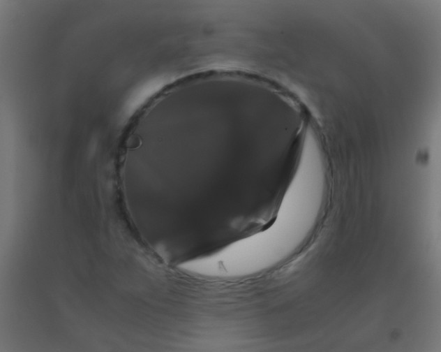 X0000092291263200709281259