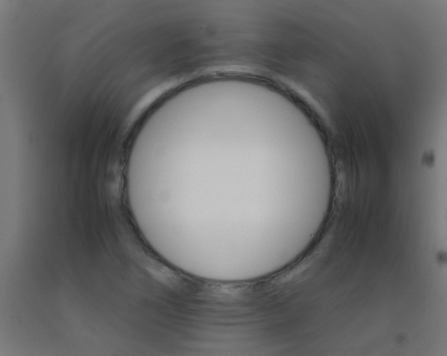 X0000092291266200709281259